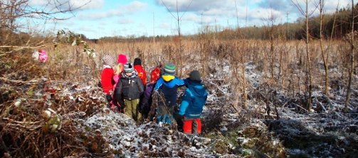 Foto von Kindern des Waldkindergartens spazieren durch die herbstliche Natur