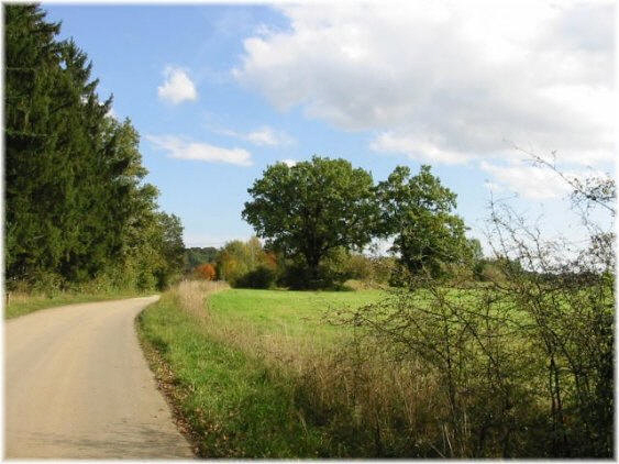 Feldweg Feldweg mit Gebüsch und Bäumen